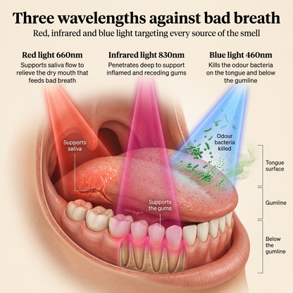 Helios Odour Eliminating Toothbrush